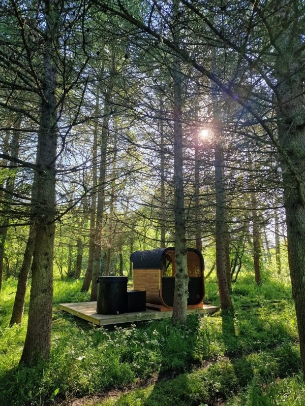 Cube Sauna (1.6m) - Image 3